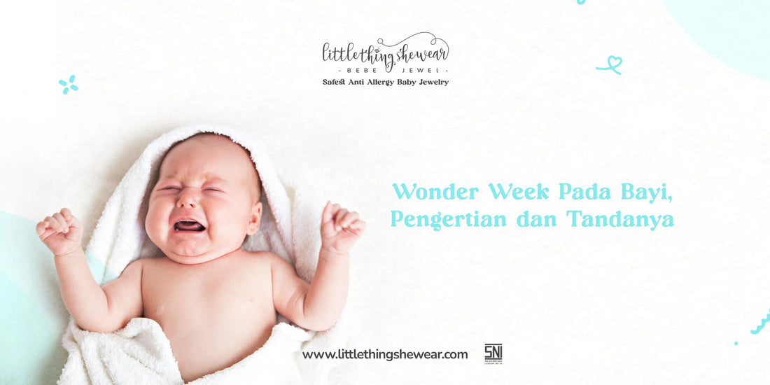wonder week pada bayi