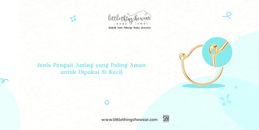 jenis pengait anting