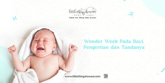 wonder week pada bayi