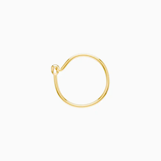 anting anak